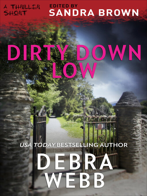 Title details for Dirty Down Low by Debra Webb - Available